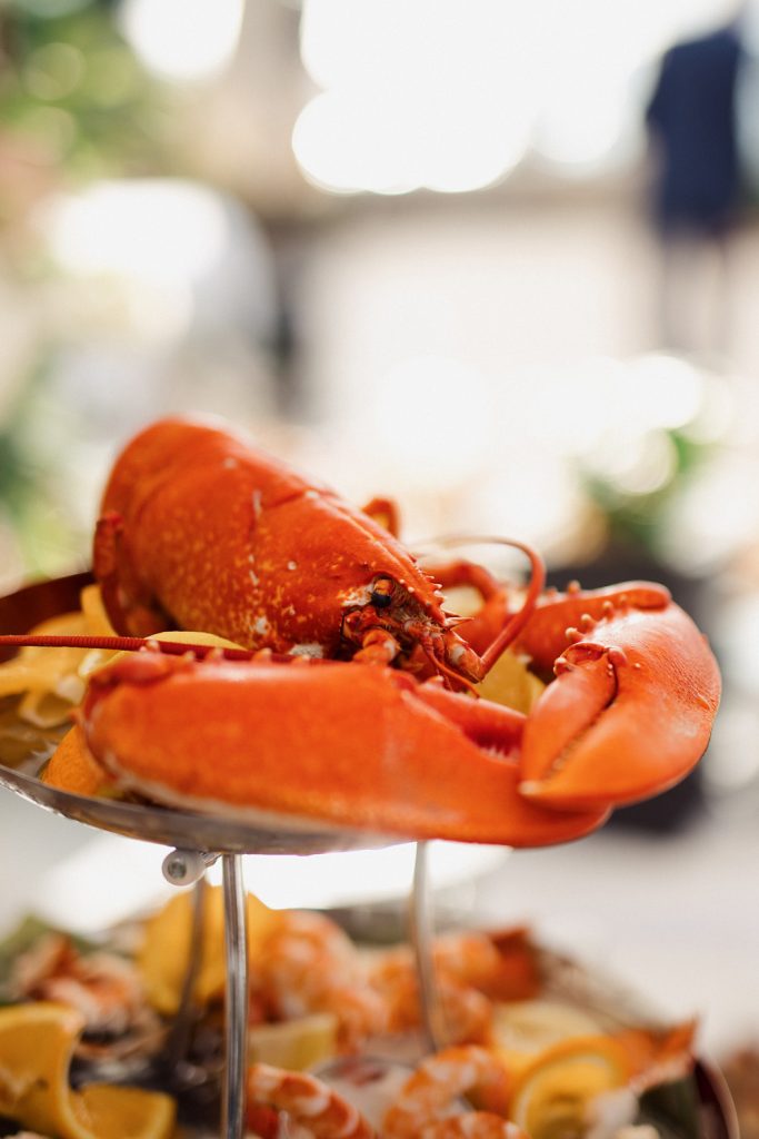 red island crveni otok wedding photographer flick factory